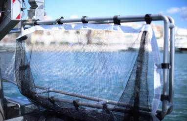 BARCO LIMPIEZA